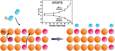Graphical abstract: O2 induced Cu surface segregation in Au–Cu alloys studied by angle resolved XPS and DFT modelling