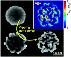 Graphical abstract: Porous gold nanodisks with multiple internal hot spots