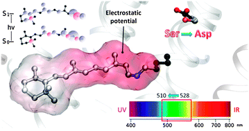 Graphical abstract: Quantum chemical modeling of rhodopsin mutants displaying switchable colors