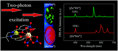 Graphical abstract: One- and two-photon induced emission in heterobimetallic ZnII–SmIII and ZnII–TbIII complexes with a side-off compartmental ligand