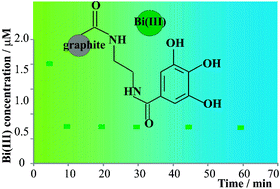 Graphical abstract: Adsorption of bismuth ions on graphite chemically modified with gallic acid