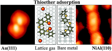 Graphical abstract: Effect of lattice-gas atoms on the adsorption behaviour of thioether molecules