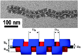 Graphical abstract: Patchy worm-like micelles: solution structure studied by small-angle neutron scattering