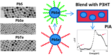 Graphical abstract: Synthesis of lead chalcogenide nanocrystals and study of charge transfer in blends of PbSe nanocrystals and poly(3-hexylthiophene)