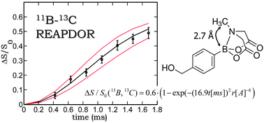Graphical abstract: Distance measurements between boron and carbon at natural abundance using magic angle spinning REAPDOR NMR and a universal curve
