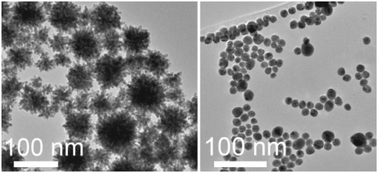 Graphical abstract: Gold nanoparticles prepared by glycinate ionic liquid assisted multi-photon photoreduction