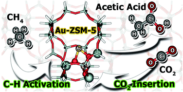 Graphical abstract: The conversion of CO2 and CH4 to acetic acid over the Au-exchanged ZSM-5 catalyst: a density functional theory study