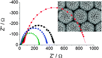 Graphical abstract: Ordered networks of ZnO-nanowire hierarchical urchin-like structures for improved dye-sensitized solar cells
