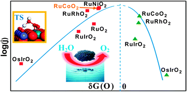 Graphical abstract: Searching for active binary rutile oxide catalyst for water splitting from first principles