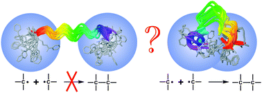 Graphical abstract: Photoinitiated intramolecular diradical cross-linking of polyproline peptides in the gas phase