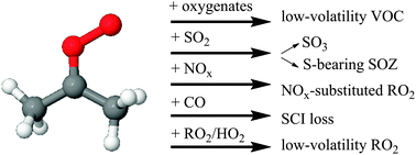 Graphical abstract: The reaction of Criegee intermediates with NO, RO2, and SO2, and their fate in the atmosphere