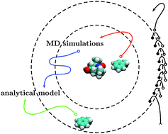 Graphical abstract: Computation of DNP coupling factors of a nitroxide radical in toluene: seamless combination of MD simulations and analytical calculations