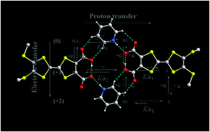 Graphical abstract: A redox active proton transfer and hydrogen-bonding system of tetrathiafulvalene-dicarboxylic acid and pyridine bases