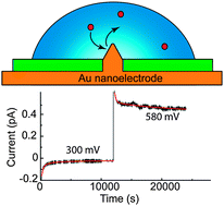 Graphical abstract: Nonergodicity in nanoscale electrodes