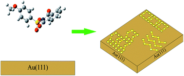 Graphical abstract: The intriguing reaction of aromatic sulfonyl phthalimides with gold surfaces