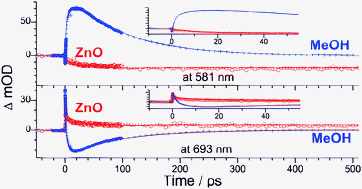Graphical abstract: Ultrafast dynamics of the indoline dye D149 on electrodeposited ZnO and sintered ZrO2 and TiO2 thin films