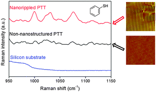 Graphical abstract: Gold coatings on polymer laser induced periodic surface structures: assessment as substrates for surface-enhanced Raman scattering