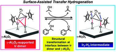 Graphical abstract: Surface-assisted transfer hydrogenation catalysis on a γ-Al2O3-supported Ir dimer