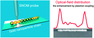 Graphical abstract: Spatial distribution of enhanced optical fields in one-dimensional linear arrays of gold nanoparticles studied by scanning near-field optical microscopy