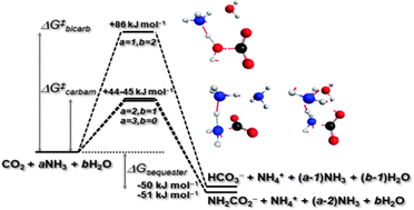 Graphical abstract: CO2 capture in aqueous ammonia solutions: a computational chemistry perspective