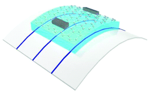 Graphical abstract: Flexible graphene-based chemical sensors on paper substrates