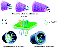 Graphical abstract: Hydrophobic asymmetric ultrafiltration PVDF membranes: an alternative separator for VFB with excellent stability