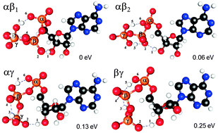 Graphical abstract: Spectroscopic and theoretical investigations of adenosine 5′-diphosphate and adenosine 5′-triphosphate dianions in the gas phase