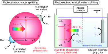 Graphical abstract: (Oxy)nitrides with d0-electronic configuration as photocatalysts and photoanodes that operate under a wide range of visible light for overall water splitting