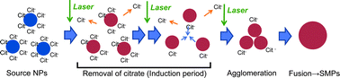 Graphical abstract: Preparation and investigation of the formation mechanism of submicron-sized spherical particles of gold using laser ablation and laser irradiation in liquids