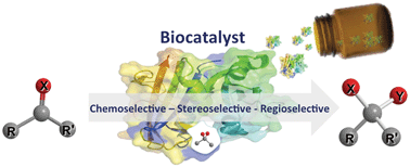 Graphical abstract: Expanding the organic toolbox: a guide to integrating biocatalysis in synthesis