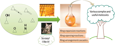 Graphical abstract: Strained small rings in gold-catalyzed rapid chemical transformations