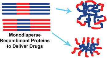 Graphical abstract: Recombinant protein-based polymers for advanced drug delivery