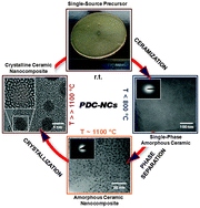 Graphical abstract: Silicon-containing polymer-derived ceramic nanocomposites (PDC-NCs): preparative approaches and properties