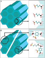 Graphical abstract: Proton transport in functionalised additives for PEM fuel cells: contributions from atomistic simulations