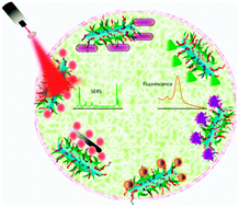 Graphical abstract: Nanomaterials for targeted detection and photothermal killing of bacteria