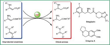 Graphical abstract: Recent advances in transition metal-catalyzed enantioselective hydrogenation of unprotected enamines