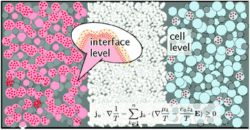Graphical abstract: Mathematical modeling of intercalation batteries at the cell level and beyond