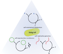 Graphical abstract: Out of fuzzy chemistry: from prebiotic chemistry to metabolic networks