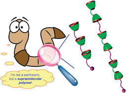 Graphical abstract: Calixarene-based supramolecular polymerization in solution