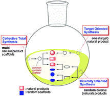 Graphical abstract: “Common synthetic scaffolds” in the synthesis of structurally diverse natural products