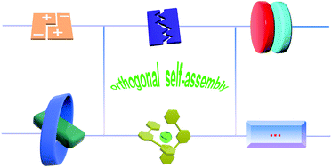 Graphical abstract: Advanced supramolecular polymers constructed by orthogonal self-assembly