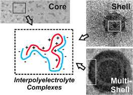 Graphical abstract: Micellar interpolyelectrolyte complexes