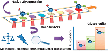 Graphical abstract: Nanoengineered glycan sensors enabling native glycoprofiling for medicinal applications: towards profiling glycoproteins without labeling or liberation steps