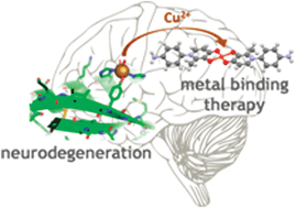 Graphical abstract: Werner coordination chemistry and neurodegeneration
