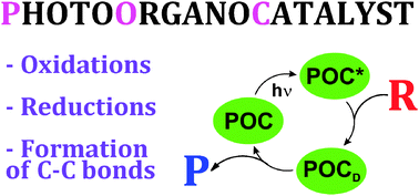 Graphical abstract: Photoorganocatalysis. What for?