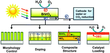 Graphical abstract: Progress in bismuth vanadate photoanodes for use in solar water oxidation