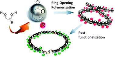 Graphical abstract: Synthesis and post-polymerisation modifications of aliphatic poly(carbonate)s prepared by ring-opening polymerisation