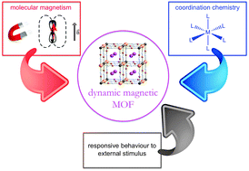 Graphical abstract: Dynamic magnetic MOFs