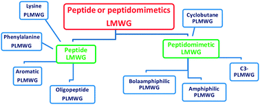Graphical abstract: Peptides and peptidomimetics that behave as low molecular weight gelators