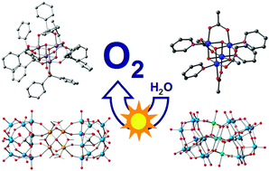 Graphical abstract: Tetrametallic molecular catalysts for photochemical water oxidation